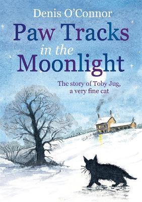 Ibs Paw Tracks in the Moonlight