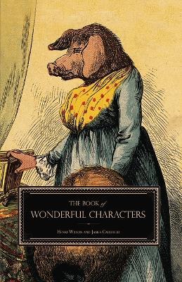 Ibs The Book of Wonderful Characters