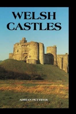 Ibs Welsh Castles: A Guide by Counties