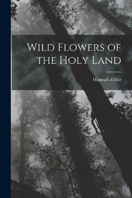 Ibs Wild Flowers of the Holy Land
