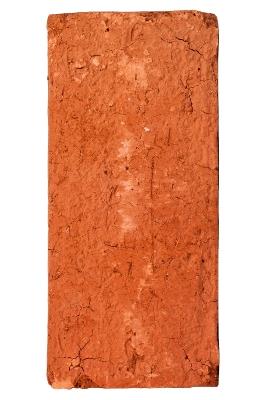 Ibs Leaving The Twentieth Century: Situationist Revolutions