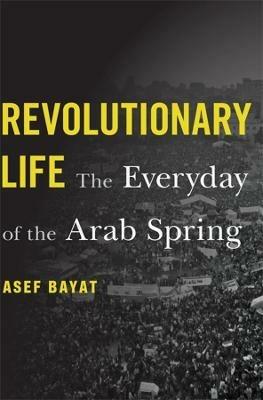 Ibs Revolutionary Life: The Everyday of the Arab Spring