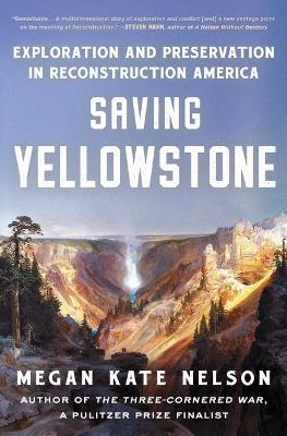 Ibs Saving Yellowstone: Exploration and Preservation in Reconstruction America