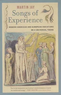 Ibs Songs of Experience: Modern American and European Variations on a Universal Theme