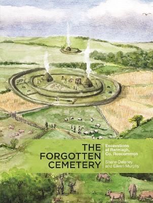 Ibs The Forgotten Cemetery: Excavations at Ranelagh Co. Roscommon