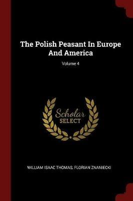 Ibs The Polish Peasant in Europe and America; Volume 4