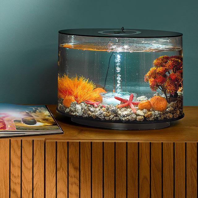 Esselunga Ritiro premi al punto fidaty