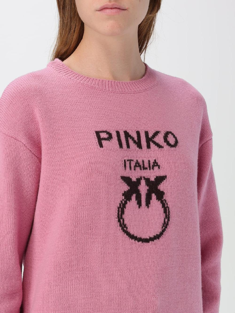 Giglio Maglia Love Birds Pinko In Lana