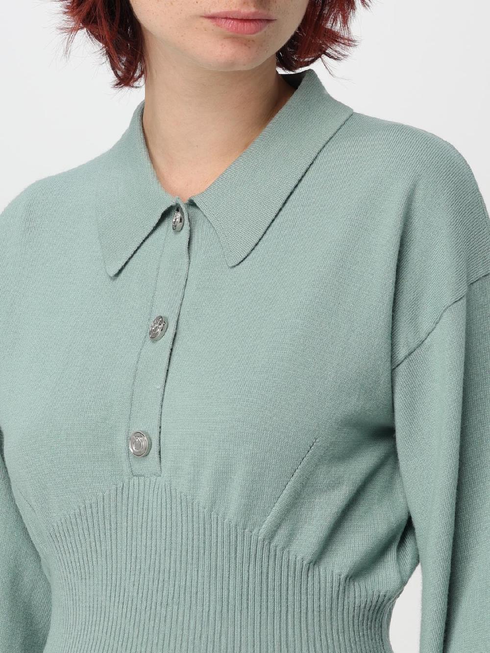 Giglio Pullover Pinko In Maglia