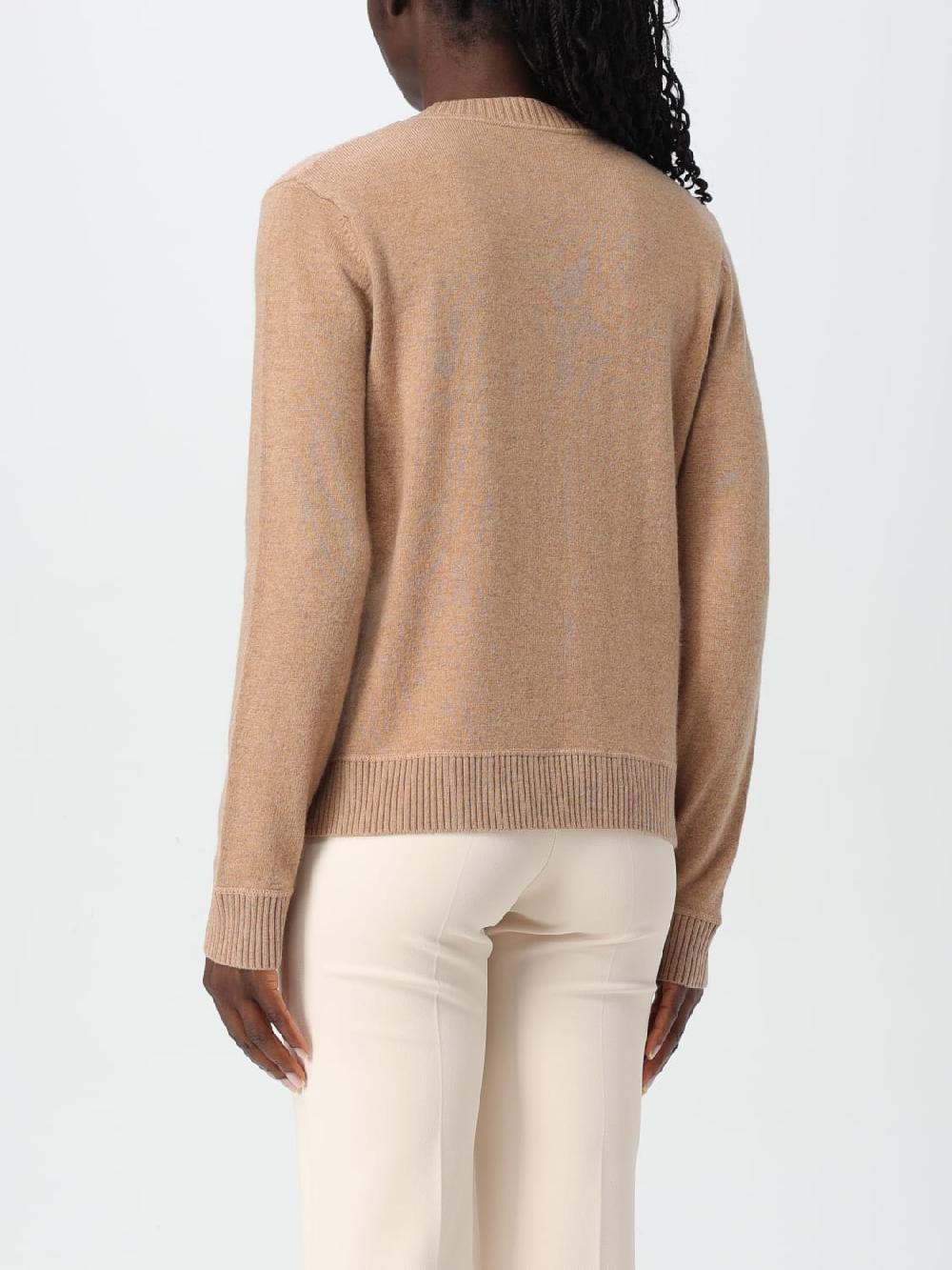 Giglio Maglia Con Logo In Misto Cashmere Elisabetta Franchi