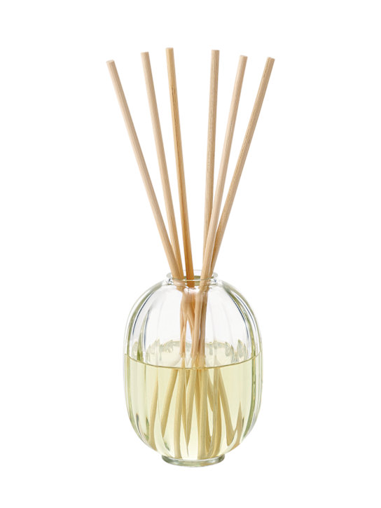 Luisaviaroma 200ml Figuier refill & diffuser sticks