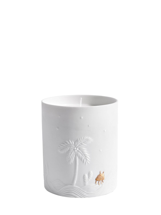 Luisaviaroma Candela Haas Mojave Palm