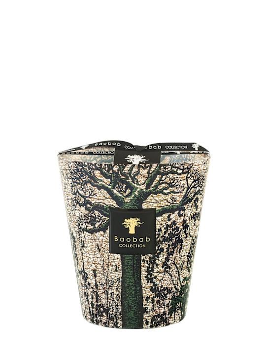 Luisaviaroma Candela Max 16 Sacred Trees Kani