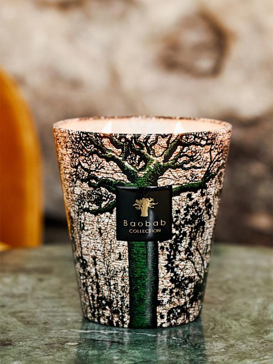 Luisaviaroma Candela Max 24 Sacred Trees Kani