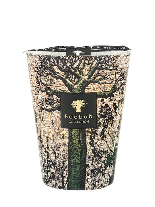 Luisaviaroma Candela Max 24 Sacred Trees Kani