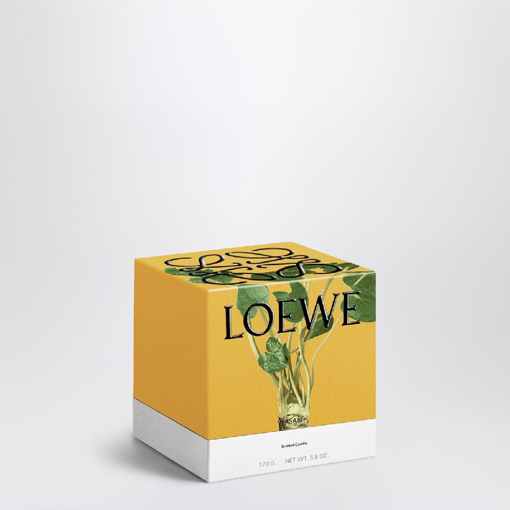 Loewe Candela Wasabi Piccola Gialla