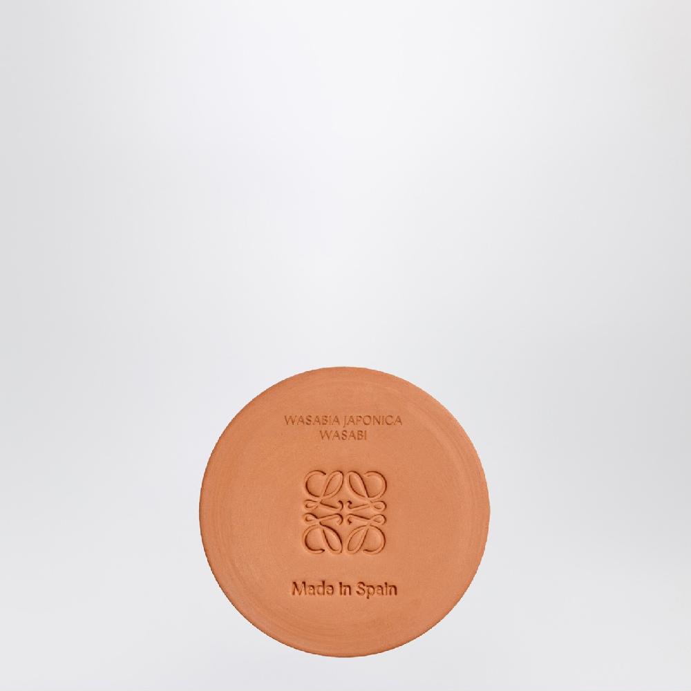 Loewe Candela Wasabi Piccola Gialla