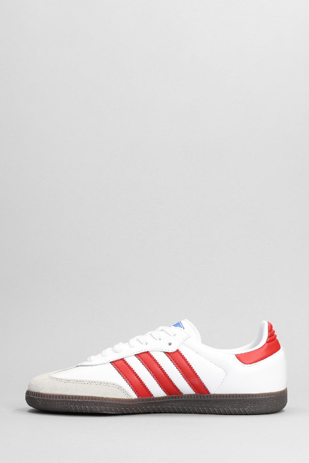 Deliberti Adidas Sneakers Samba Og In Pelle Bianca Cod. 384176 - Deliberti The Luxury Shopping