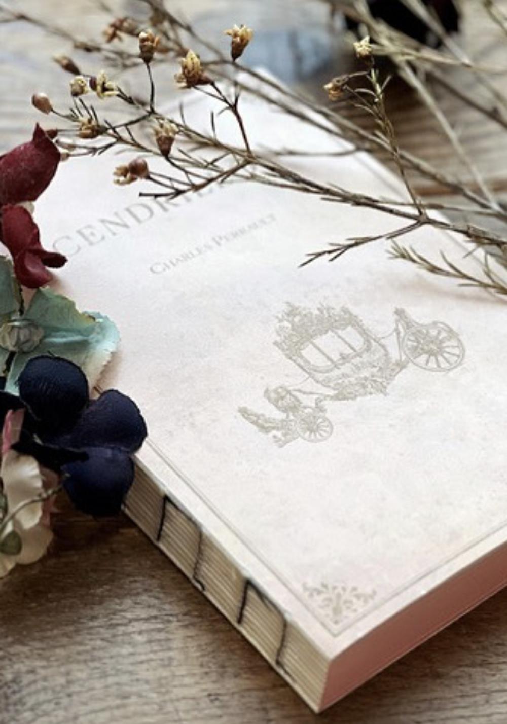 Rose & Lini SLOW DESIGN “LIBRI MUTI” CENDRILLON