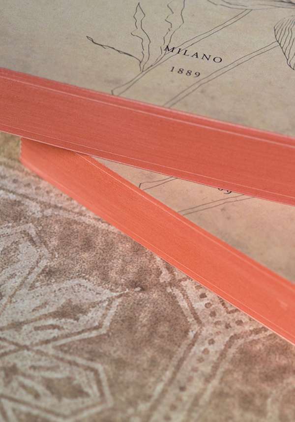 Rose & Lini SLOW DESIGN “LIBRI MUTI” IL PIACERE