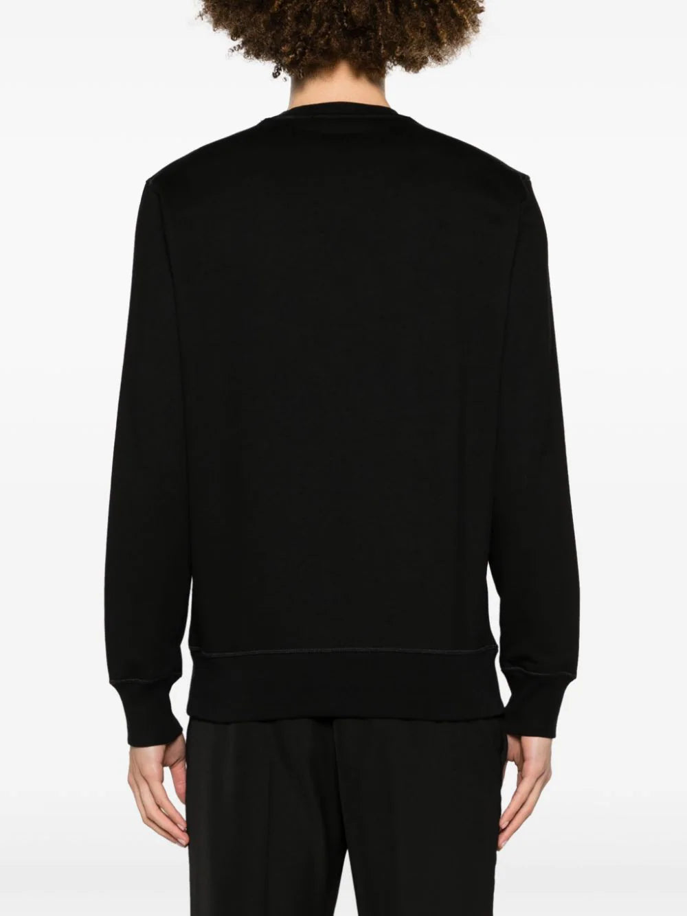 Alexander McQueen Dragonfly Sweatshirt In Black