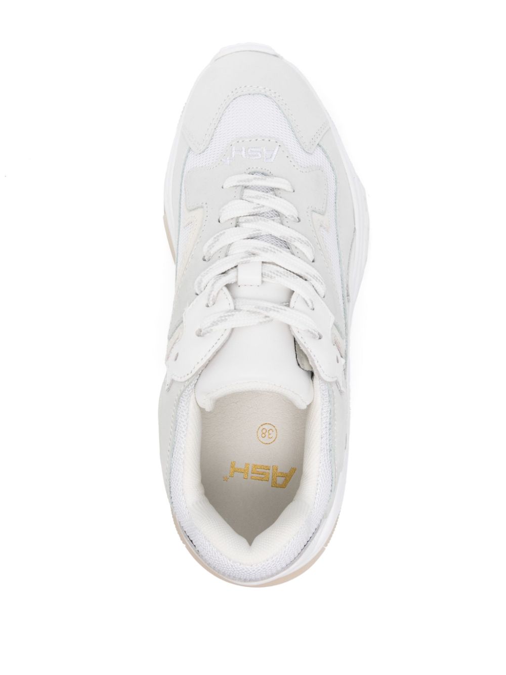 ASH Addict Sneakers