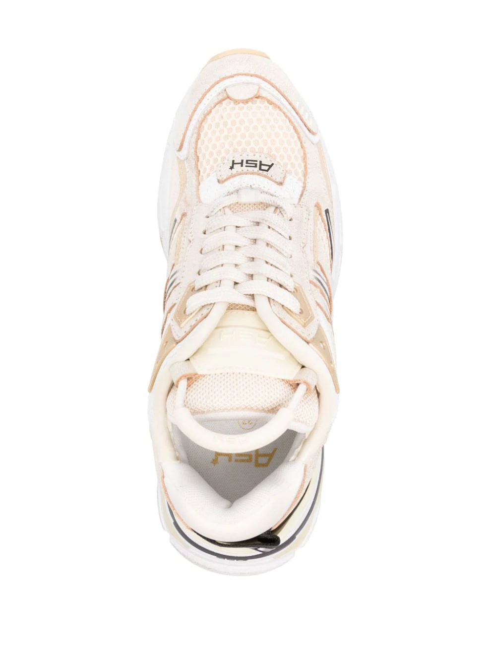 ASH Sneakers Race 02