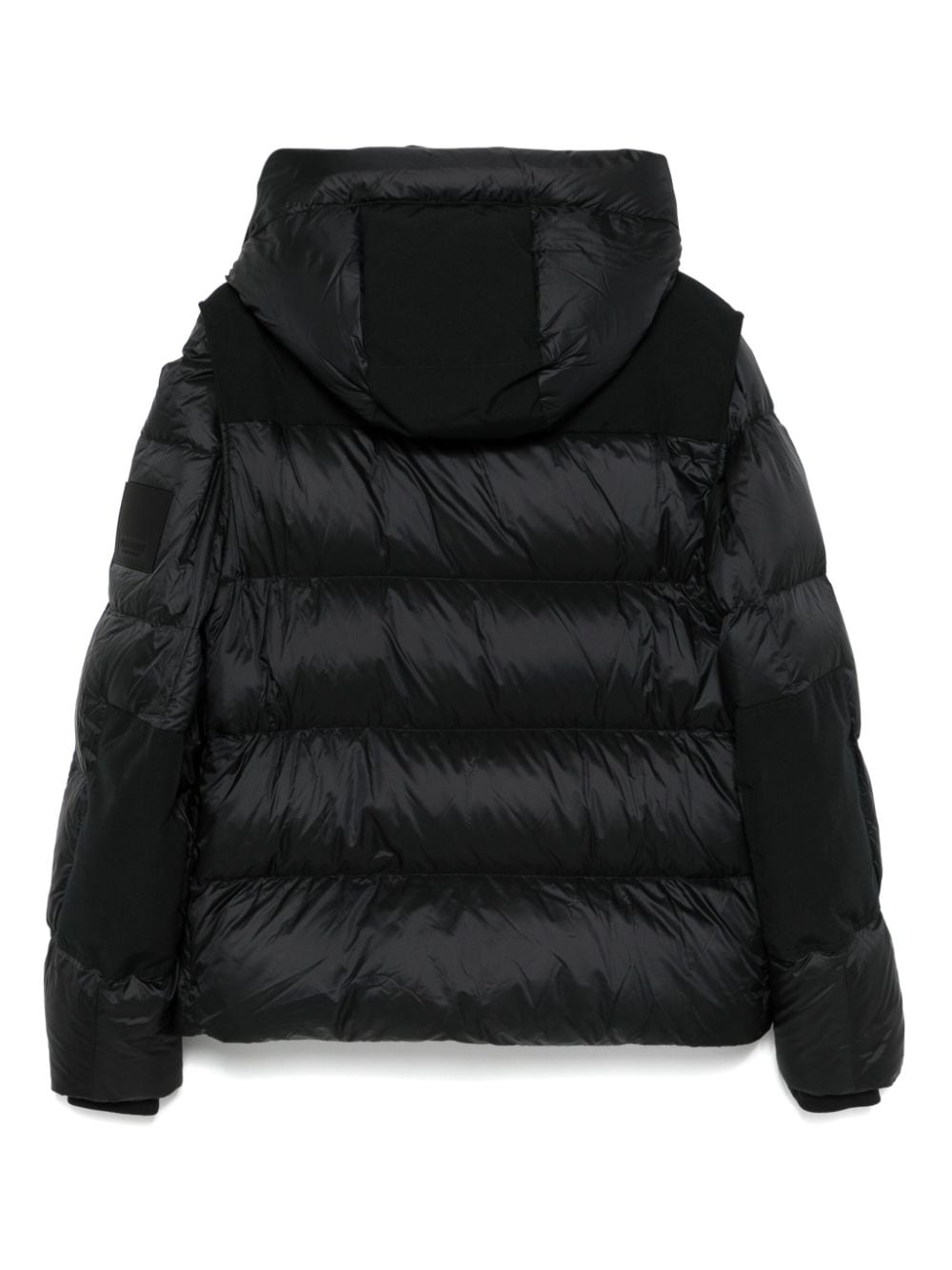 Burberry Down Jacket/vest