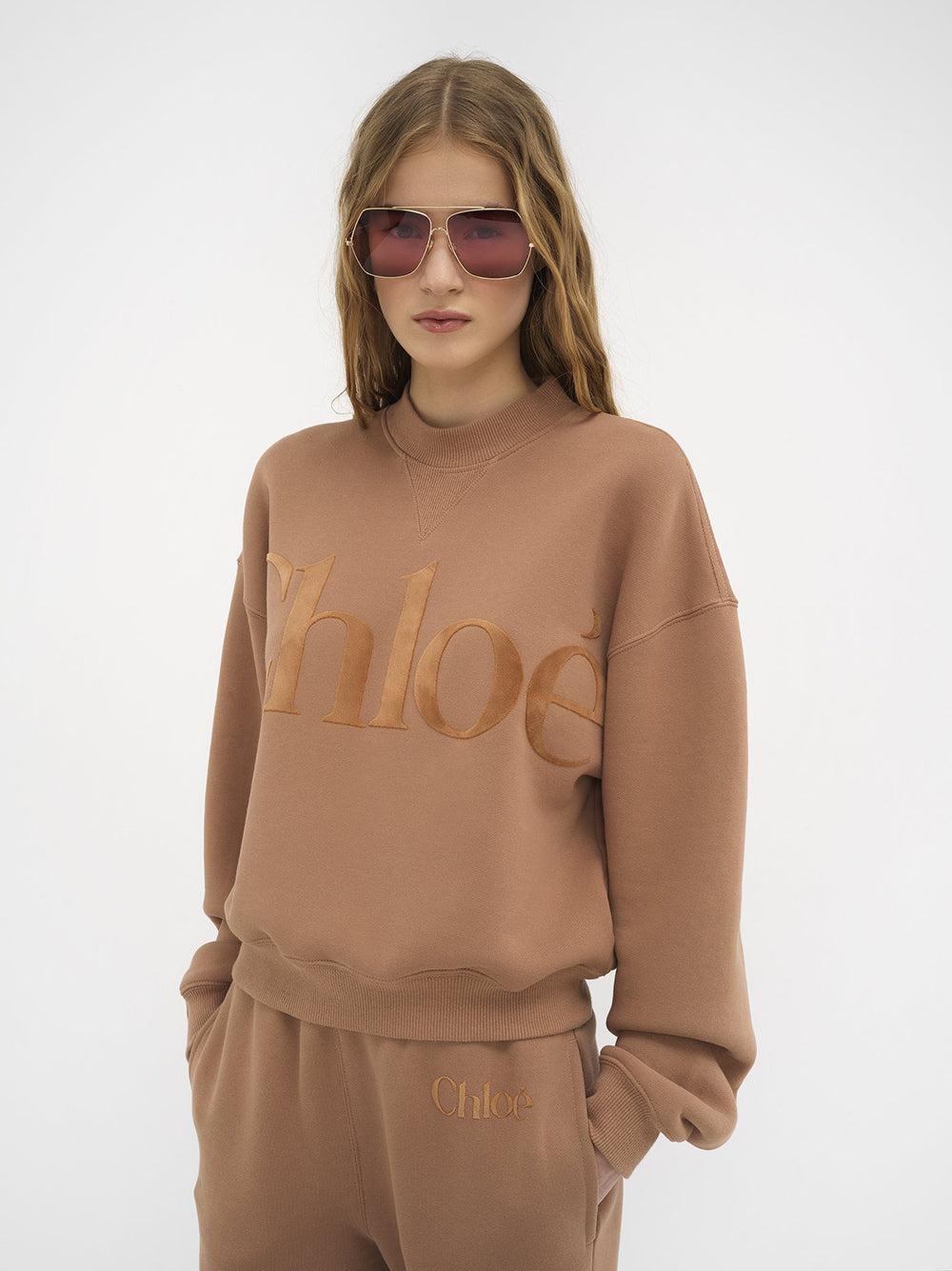 Chloé Loose Pullover In Cotton Fleece