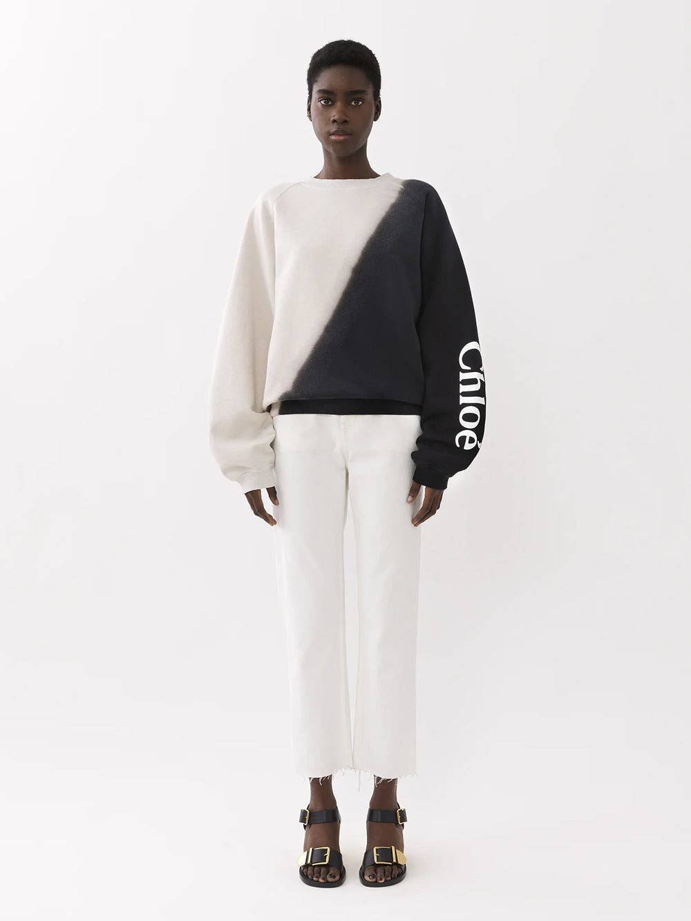 Chloé Printed Sweatshirt