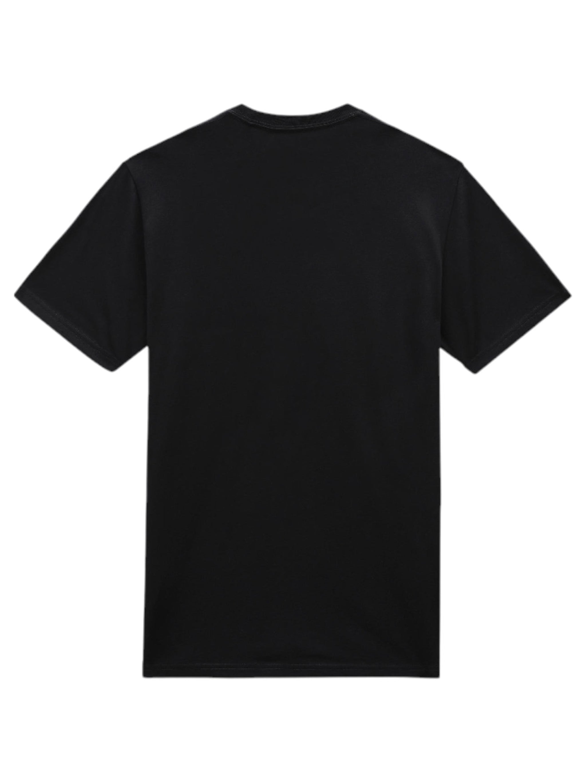 Dickies T-shirt Mapleton