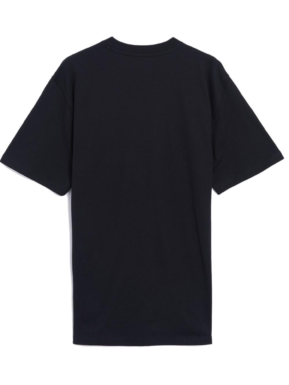 Dickies T-shirt Summerdale