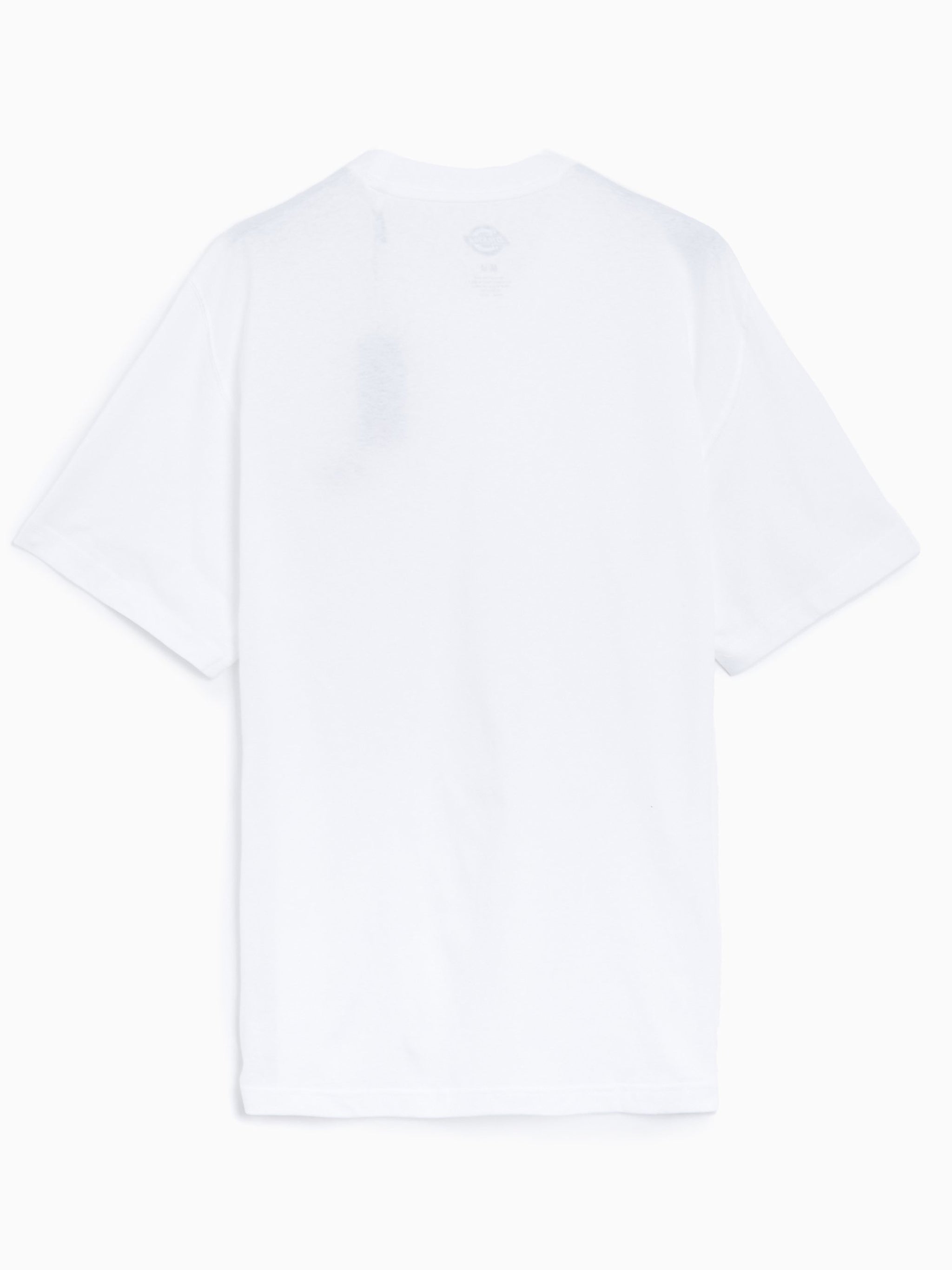 Dickies T-shirt Summerdale