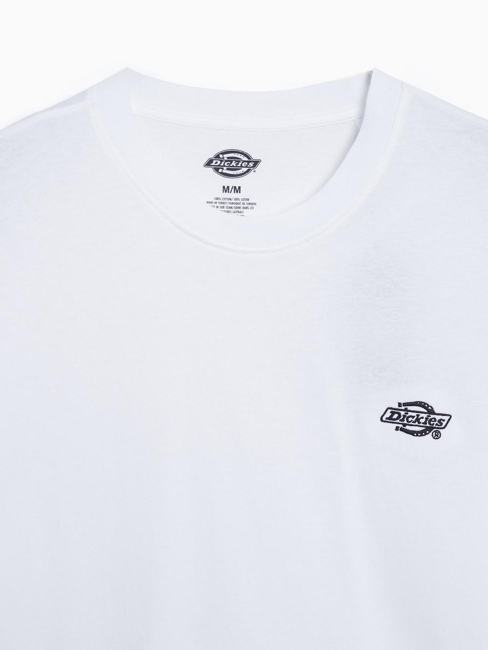 Dickies T-shirt Summerdale