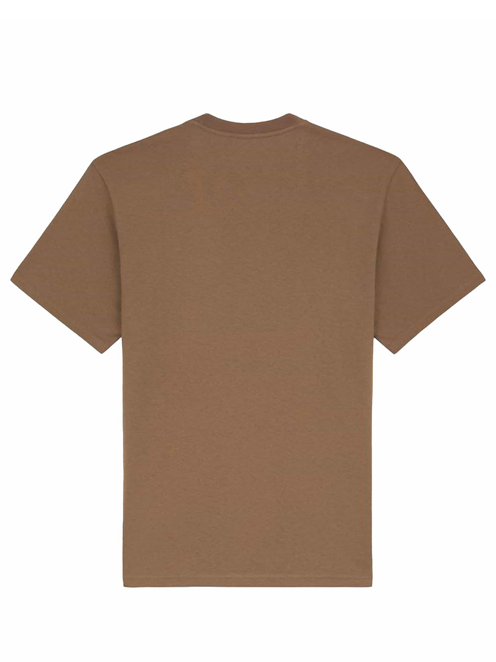 Dickies T-shirt Summerdale