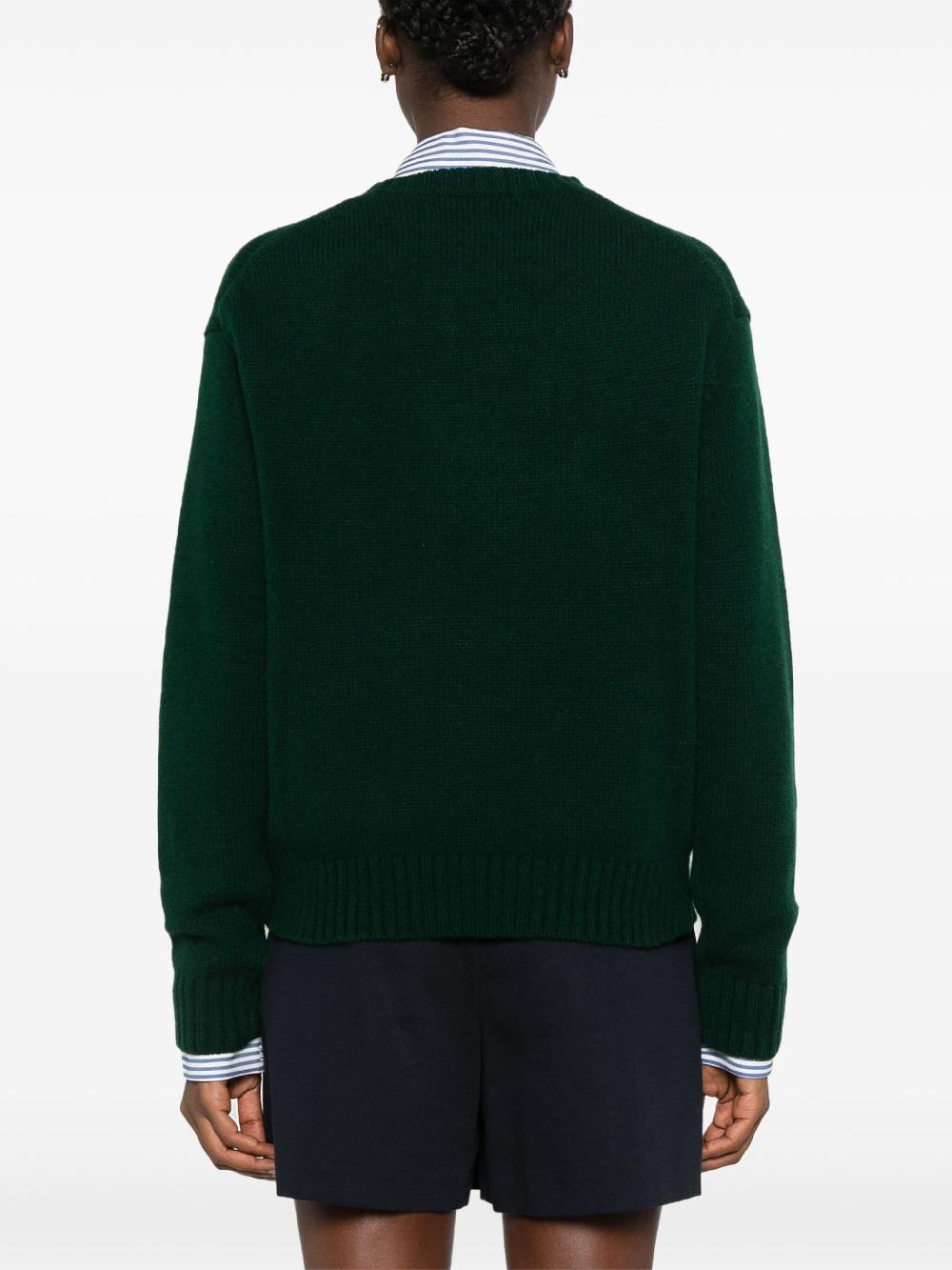 POLO RALPH LAUREN Polo Bear Jumper
