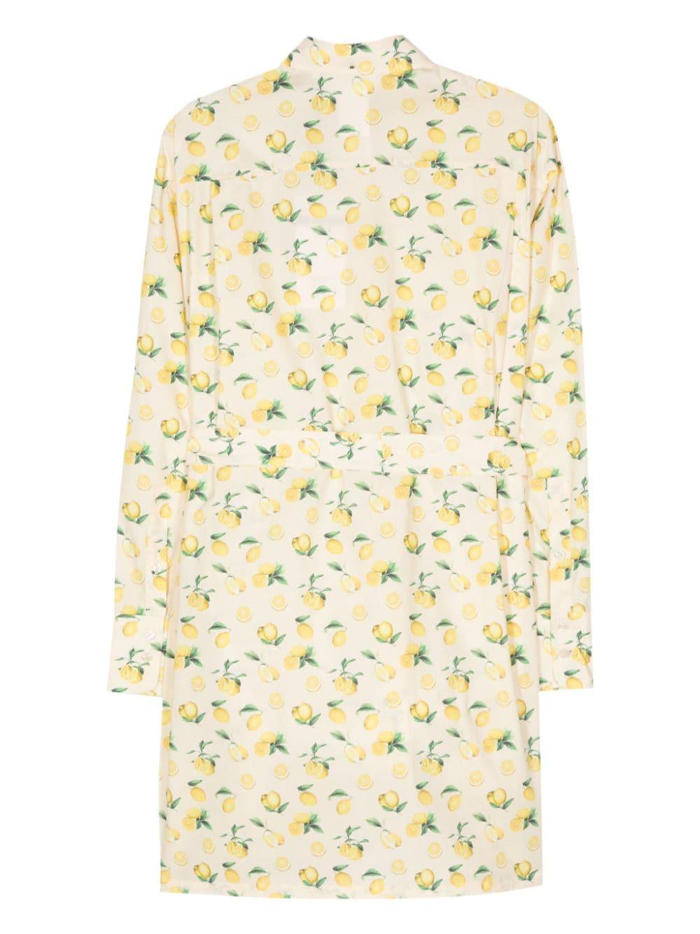 Sportmax Boero Dress In Poplin