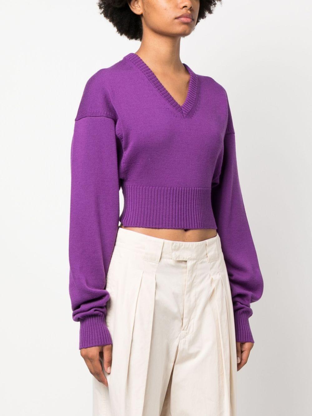 Sportmax Pomez Sweater