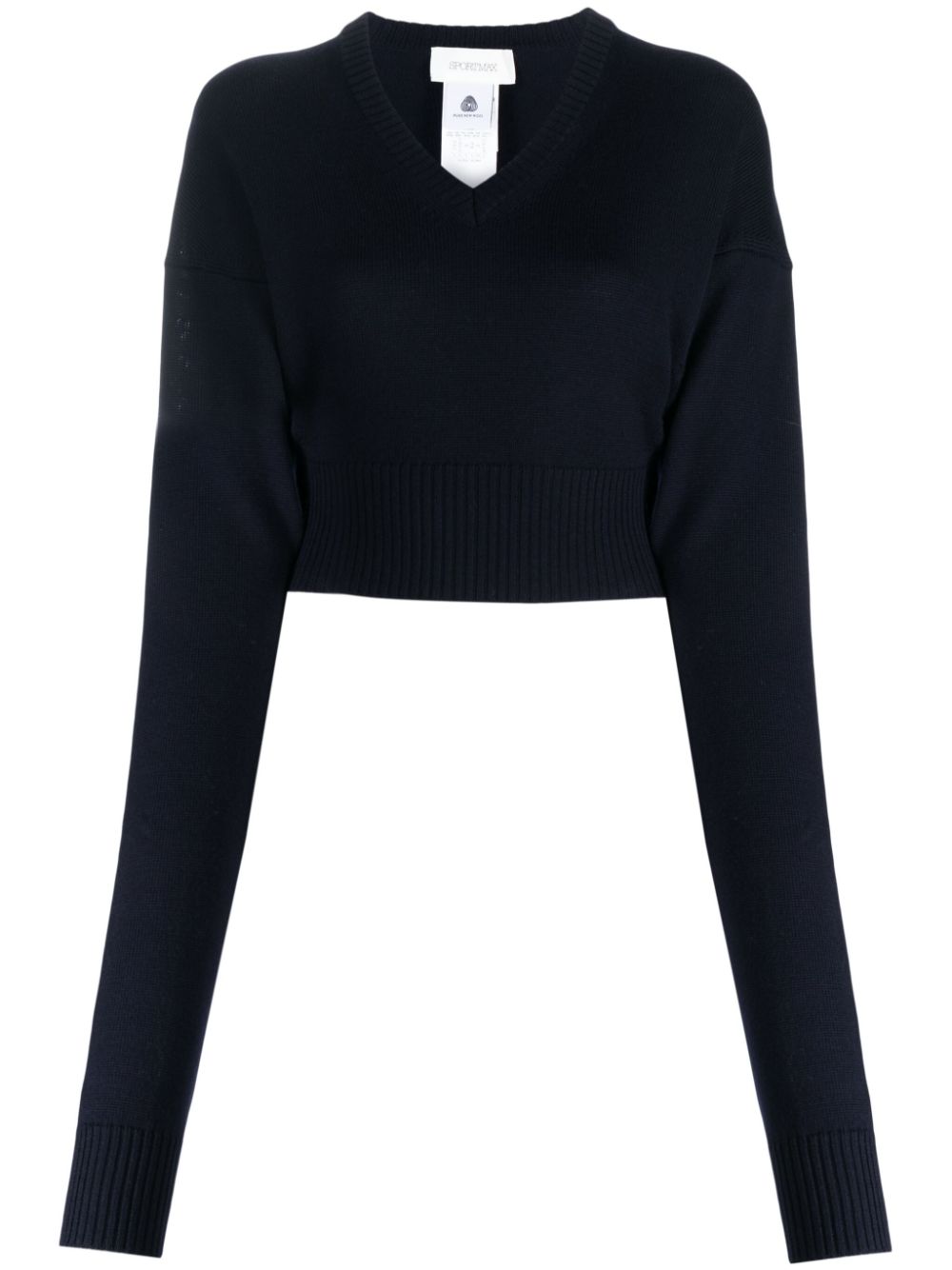 Sportmax Pomez Sweater