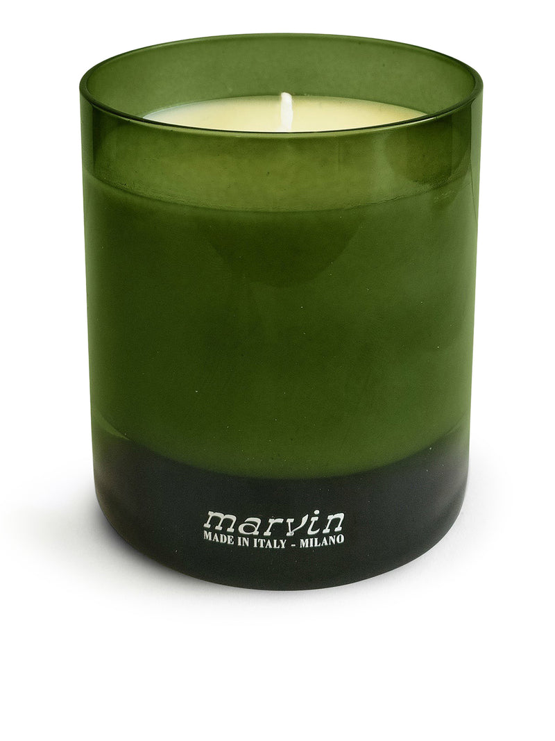 Suitnegozi Candela 202 Fico