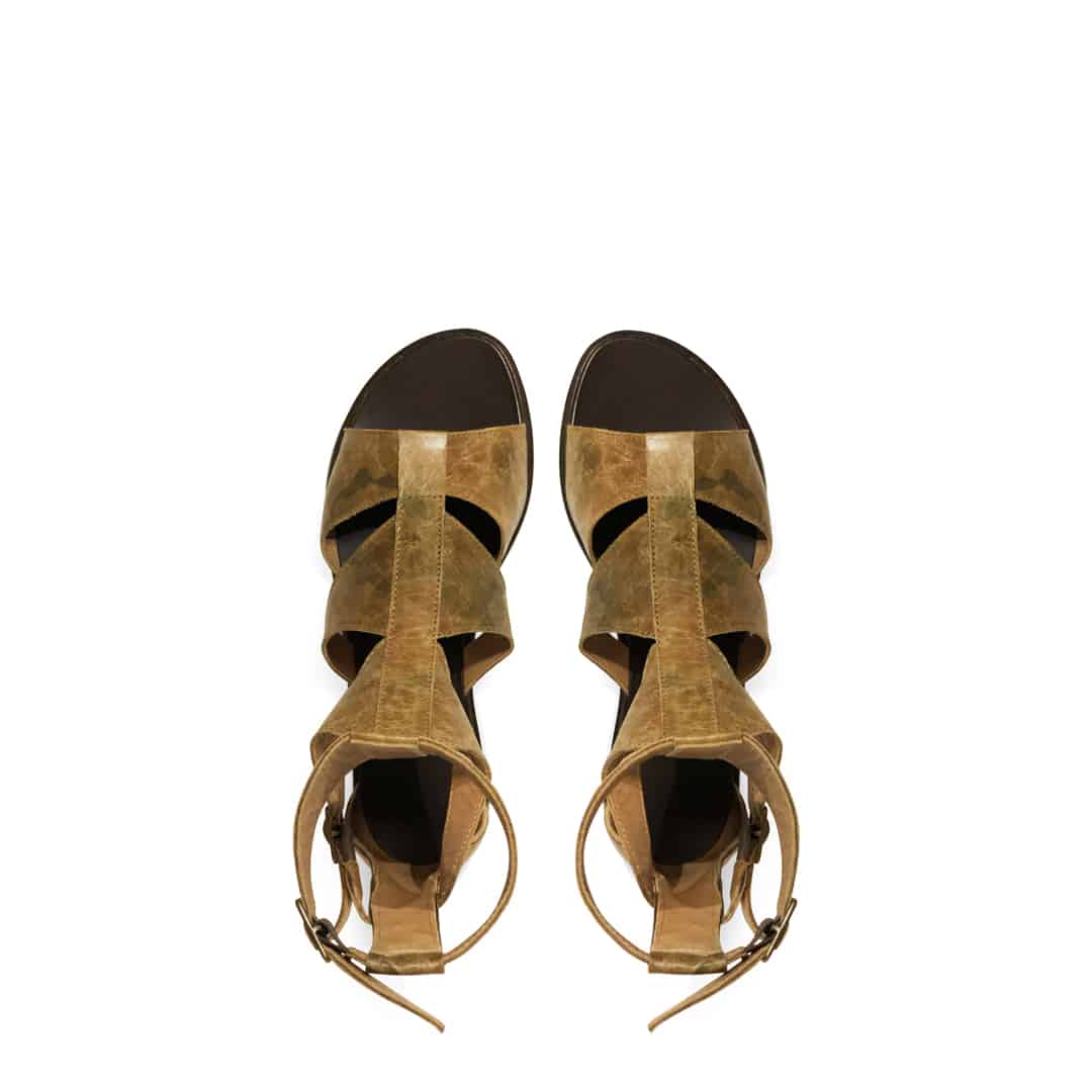 Rose'S Roses Patty Flat Flower