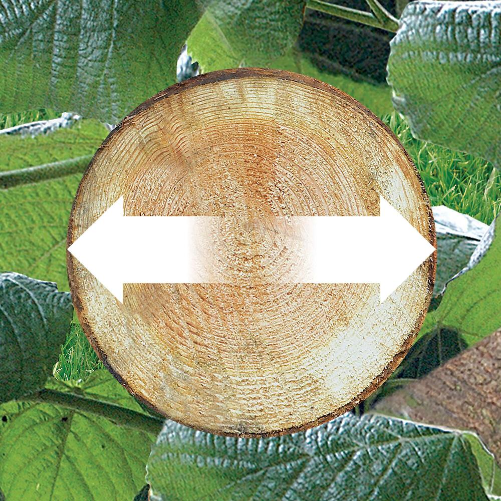 QVC Black+Decker Elettrosega A Batteria Con Barra Da 20 Cm