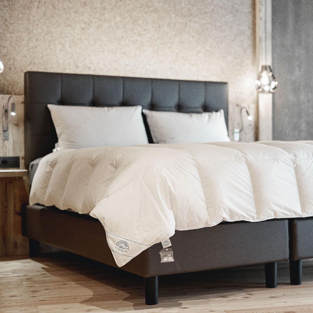 QVC Daunex Adamello Light in piumino argentato esterno cotone