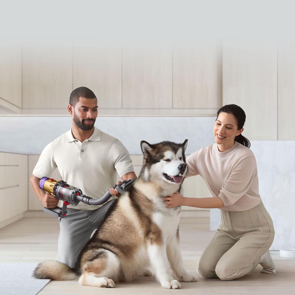 QVC Dyson Aspirapolvere V15 Detect Submarine + Pet Cleaning Kit