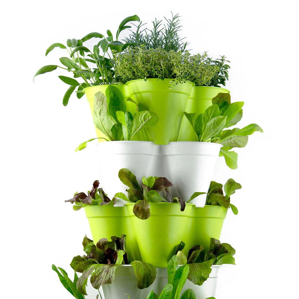 QVC Hexagro Orto Verticale Da Balcone Poty S (kit 20 Piante)