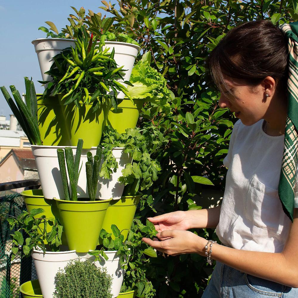 QVC Hexagro Orto verticale da balcone Poty S (kit 20 piante)