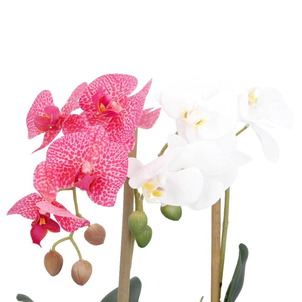 QVC Home Reflections Set Di 2 Orchidee Artificiali Con Vaso