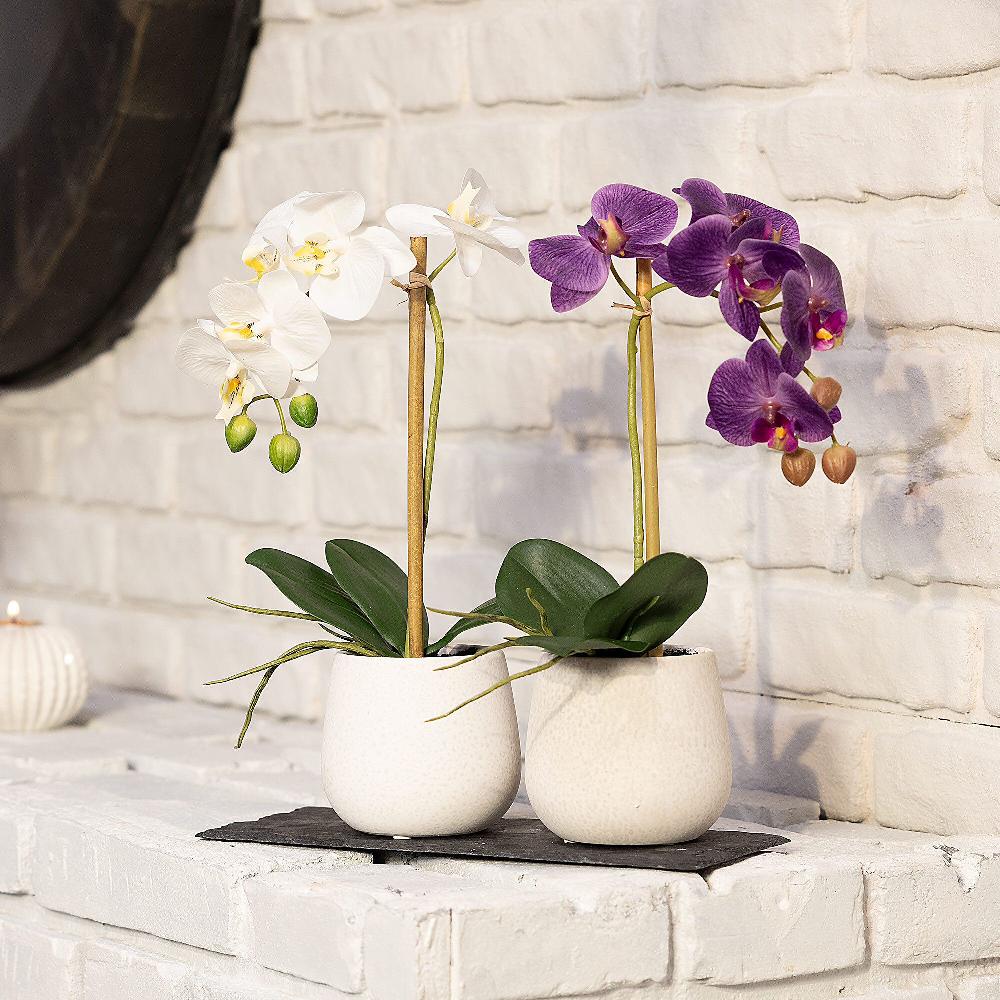 QVC Home Reflections Set di 2 orchidee artificiali con vaso