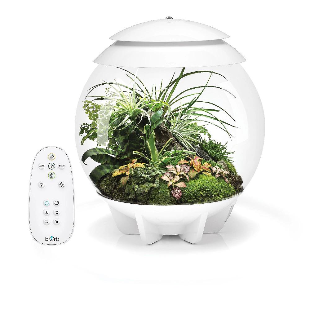 QVC Oase Biorb Air 30 mini giardino zen con telecomando