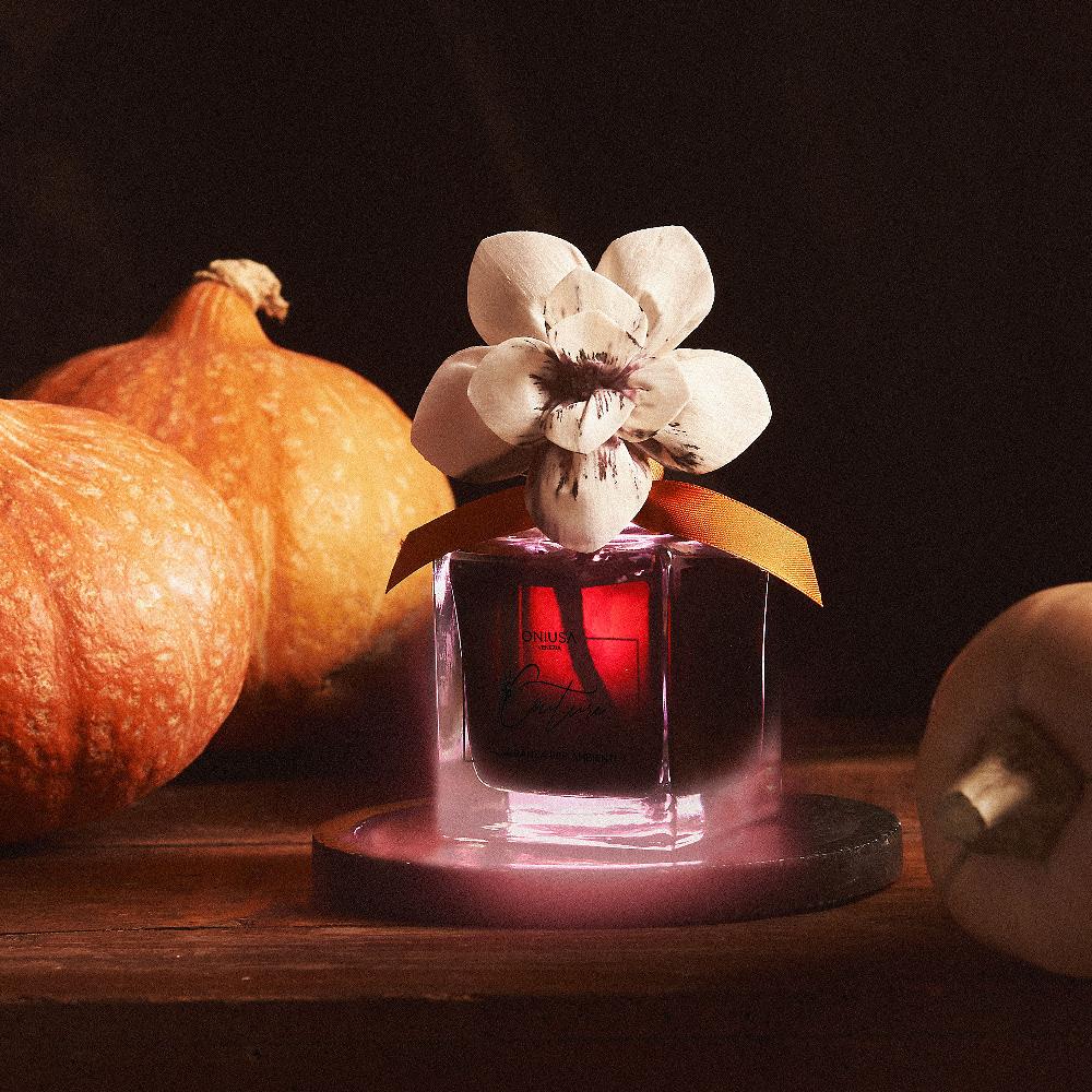 QVC Oniusa Venezia Cofanetto Halloween Con Diffusore Fiore E Ricarica 200 Ml